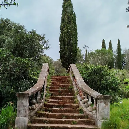 Bed & Breakfast Ev'reve