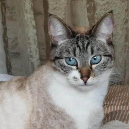 Ev'reve Bed & Breakfast